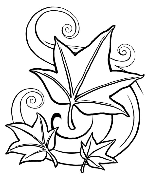 194+ Maple Coloring Pages Printable 49