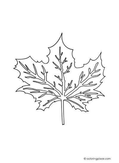 194+ Maple Coloring Pages Printable 5