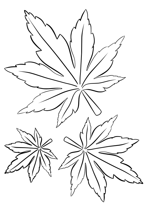 194+ Maple Coloring Pages Printable 63