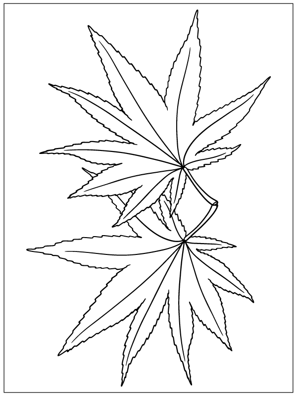 194+ Maple Coloring Pages Printable 66