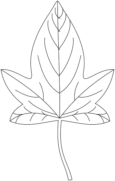 194+ Maple Coloring Pages Printable 7