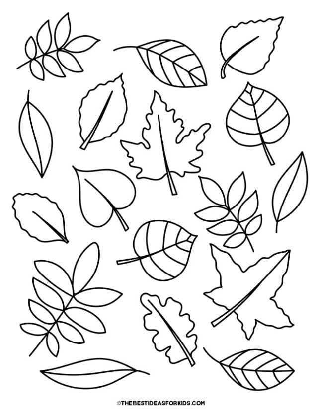 194+ Maple Coloring Pages Printable 79