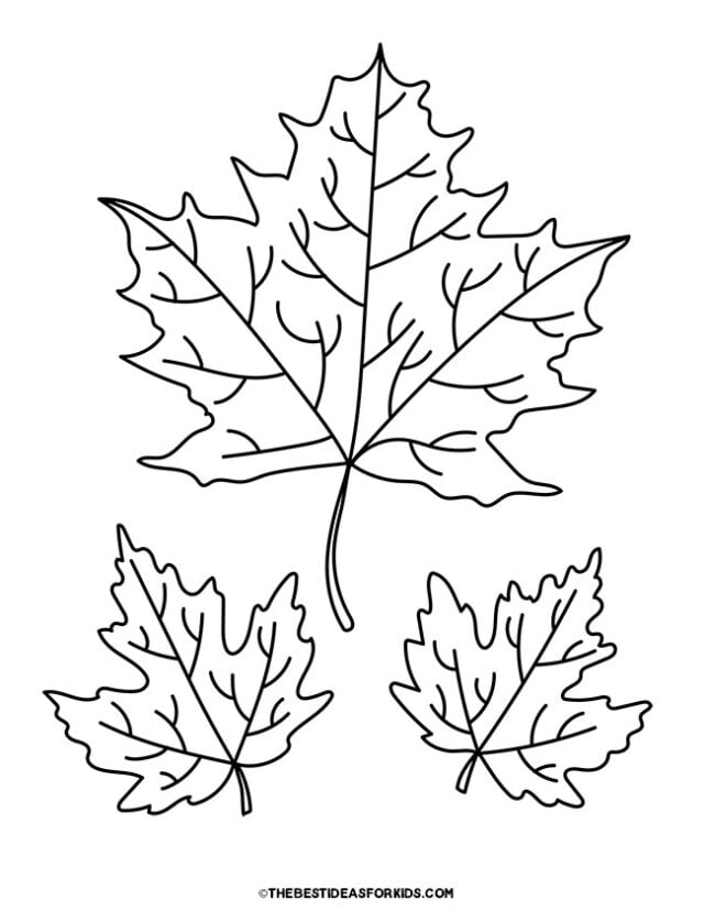 194+ Maple Coloring Pages Printable 80