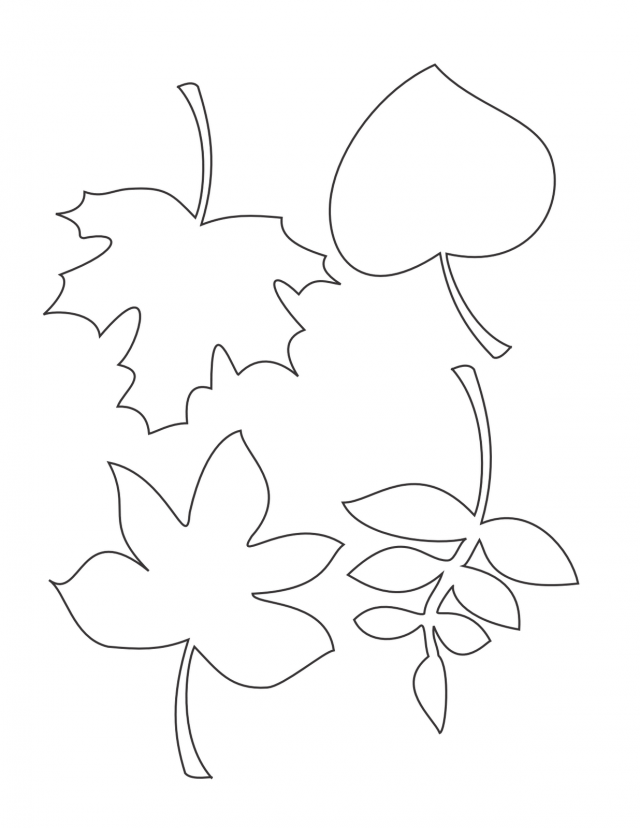 194+ Maple Coloring Pages Printable 81