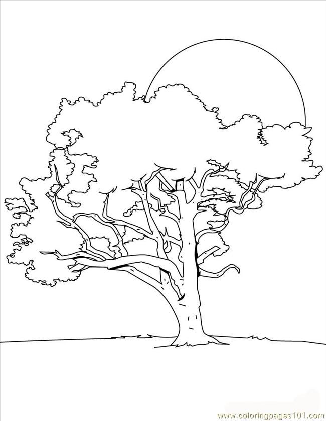 194+ Maple Coloring Pages Printable 83