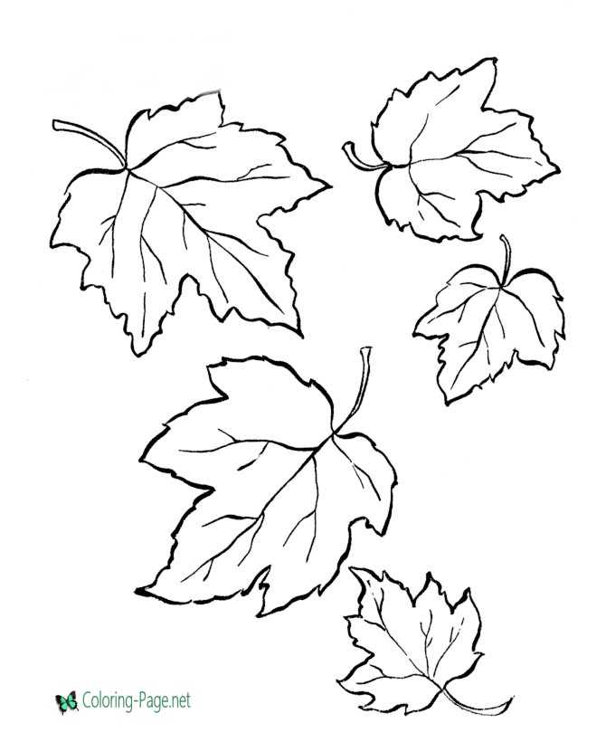 194+ Maple Coloring Pages Printable 86