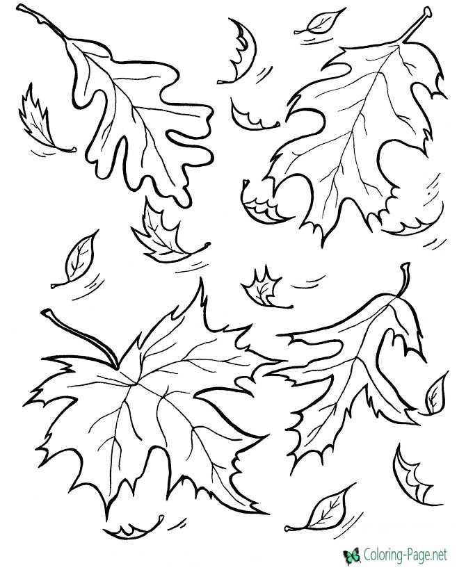 194+ Maple Coloring Pages Printable 87