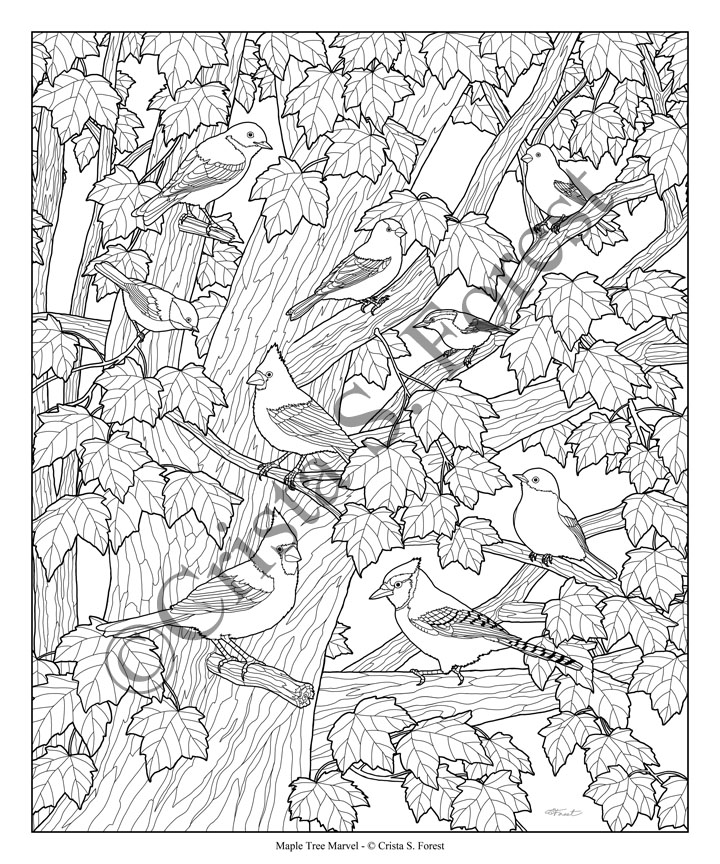 194+ Maple Coloring Pages Printable 91