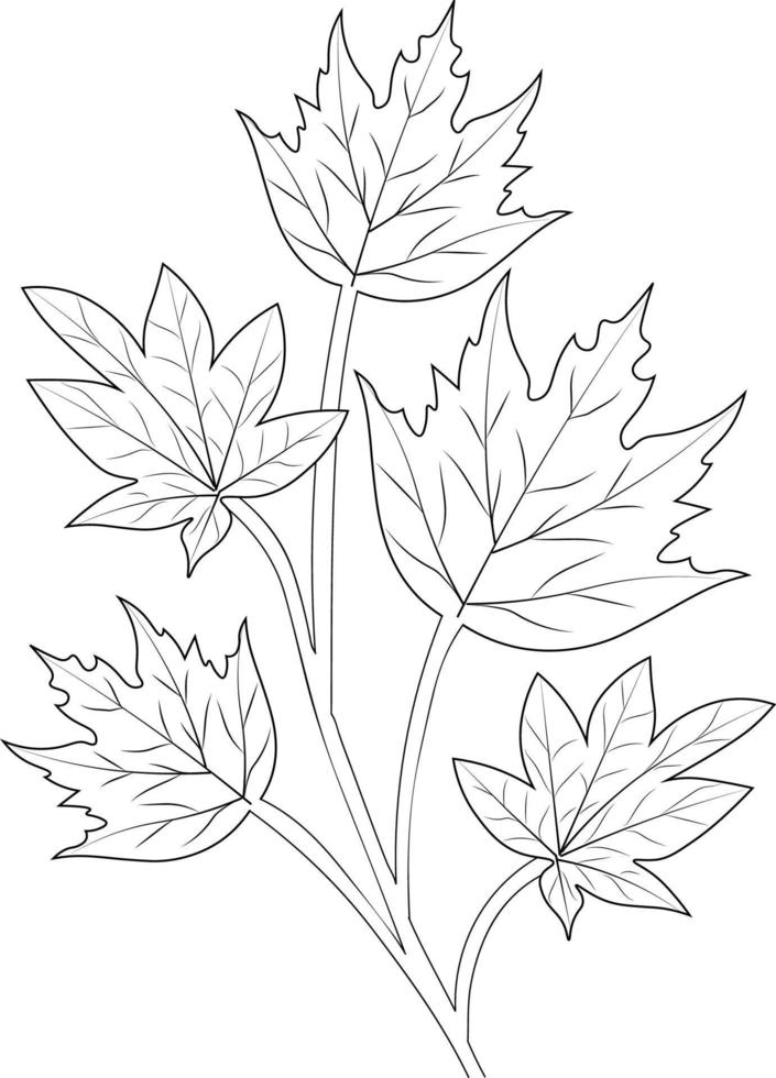 194+ Maple Coloring Pages Printable 97