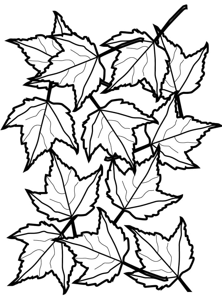 194+ Maple Coloring Pages Printable 98