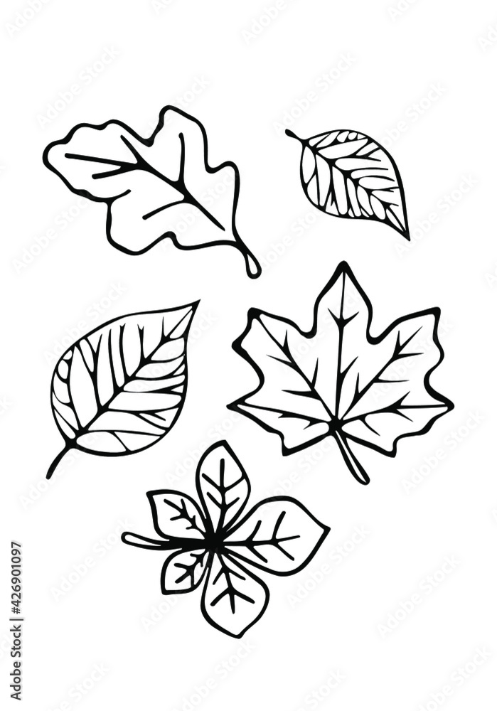 194+ Maple Coloring Pages Printable 99