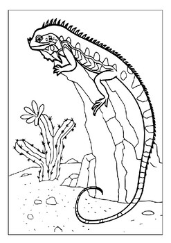 197 Lizard Color Pages: Reptilian Coloring Fun 1