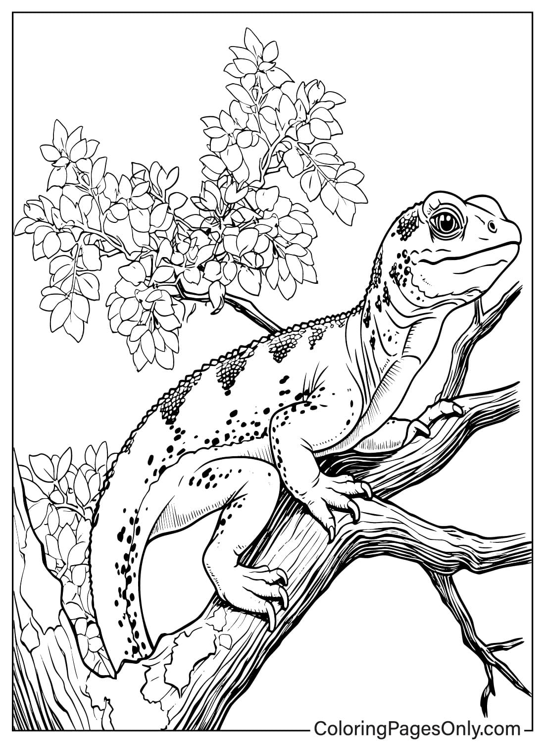 197 Lizard Color Pages: Reptilian Coloring Fun 171