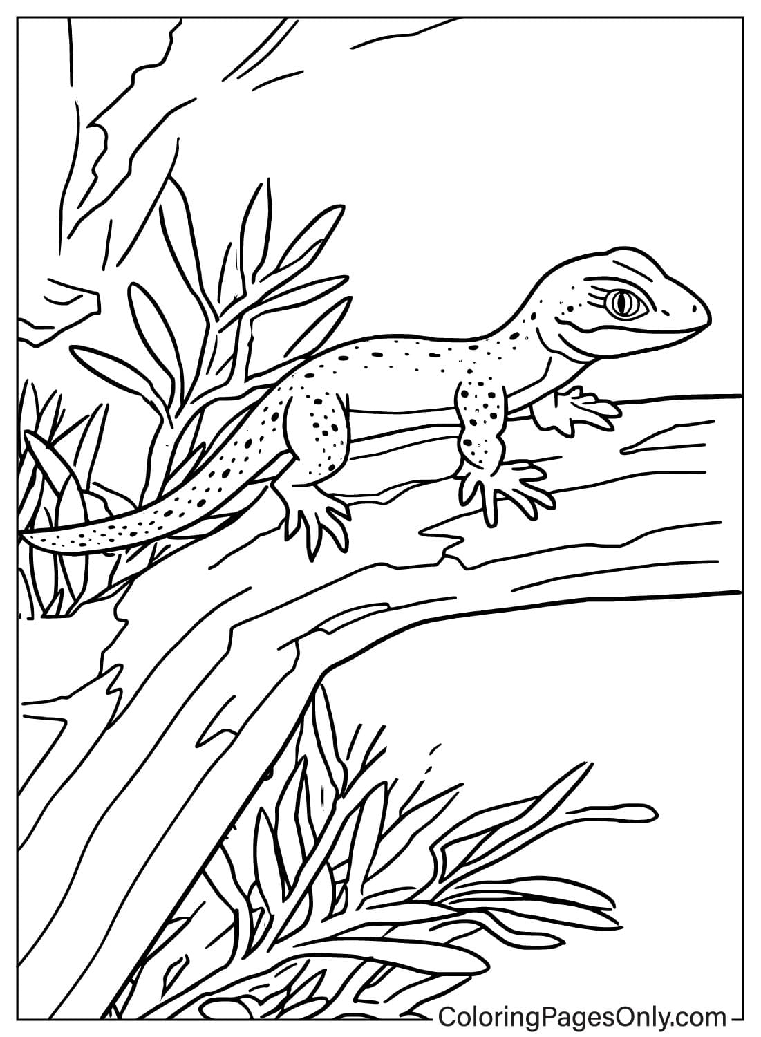 197 Lizard Color Pages: Reptilian Coloring Fun 172