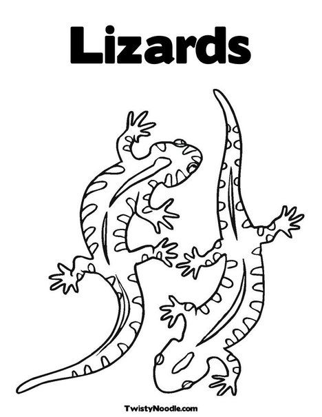 197 Lizard Color Pages: Reptilian Coloring Fun 44