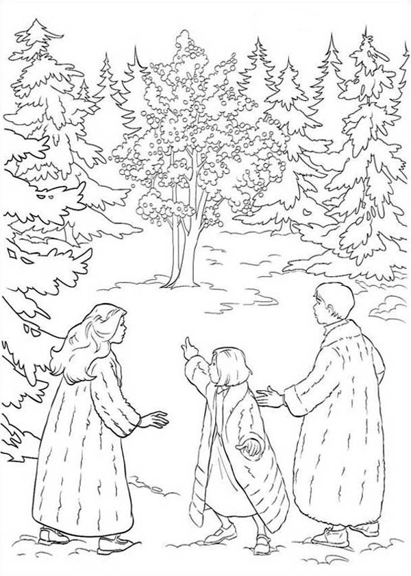 100 Narnia Coloring Pages Printable 30