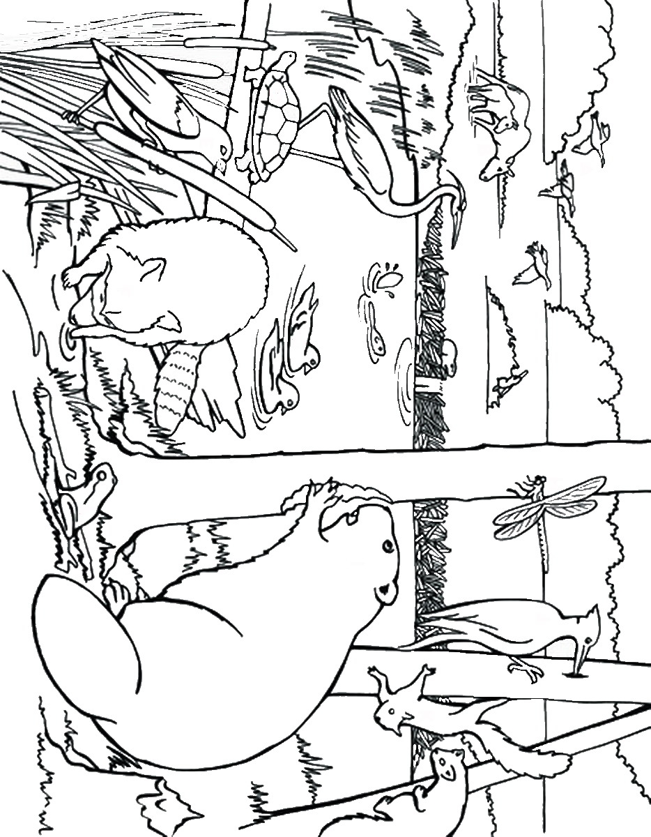 100 Narnia Coloring Pages Printable 5