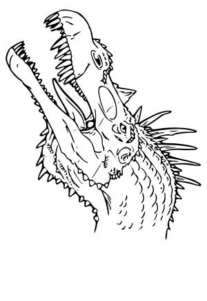 100+ Spinosaurus Coloring Pages Printable 14