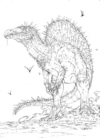 100+ Spinosaurus Coloring Pages Printable 54