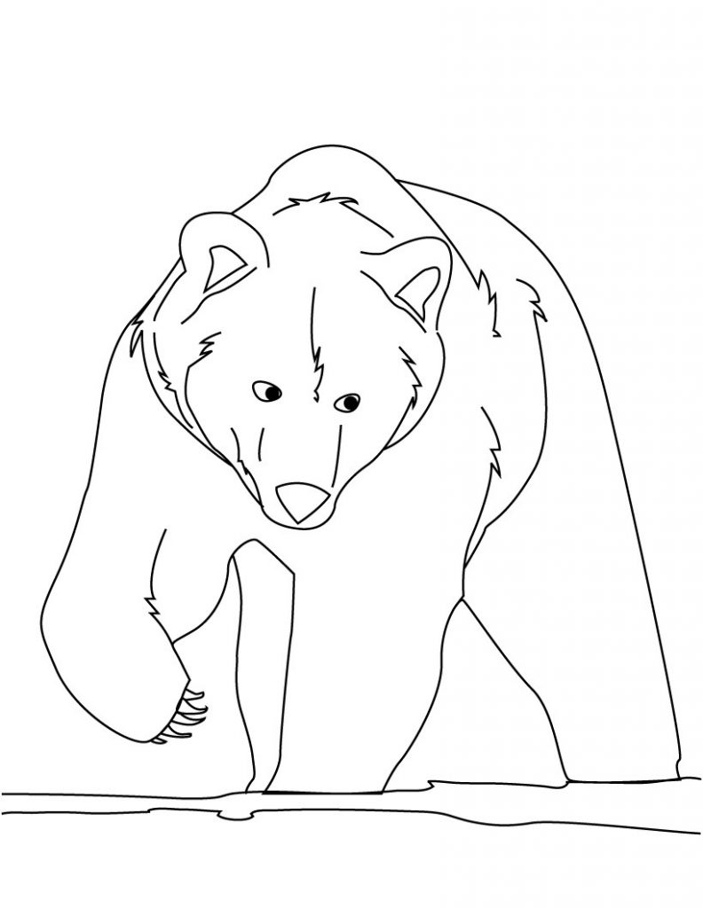 101 Free Printable Bear Coloring Pages for Kids 101