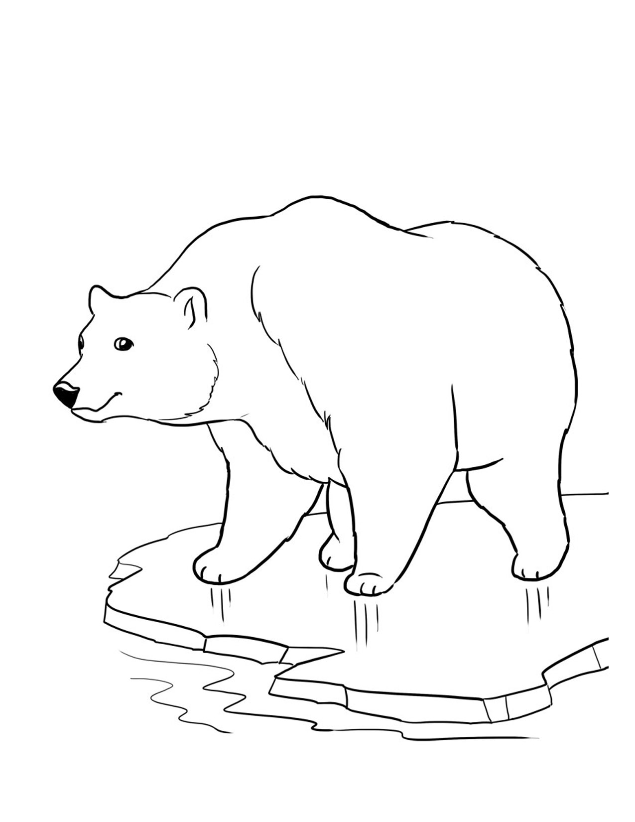 101 Free Printable Bear Coloring Pages for Kids 34