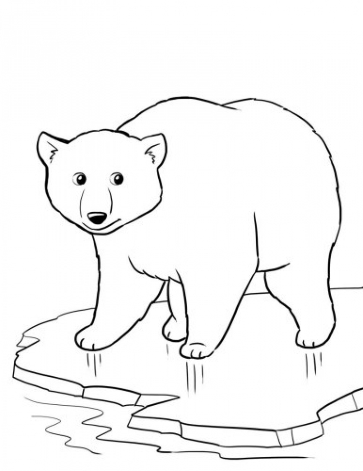 101 Free Printable Bear Coloring Pages for Kids 42