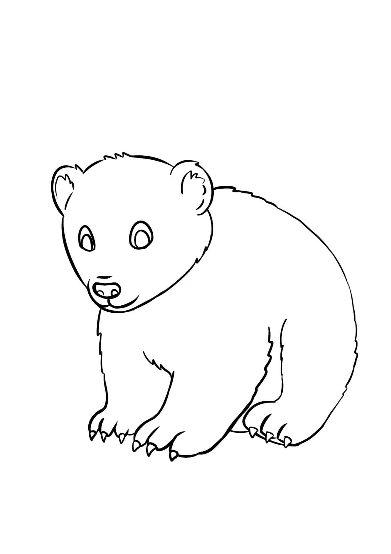 101 Free Printable Bear Coloring Pages for Kids 49