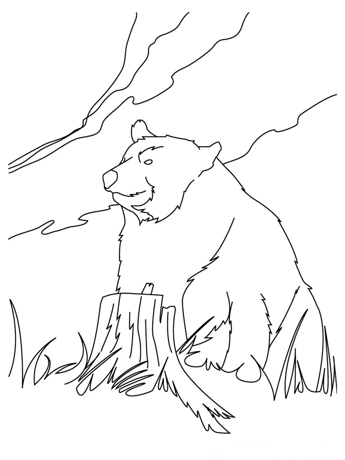 101 Free Printable Bear Coloring Pages for Kids 50