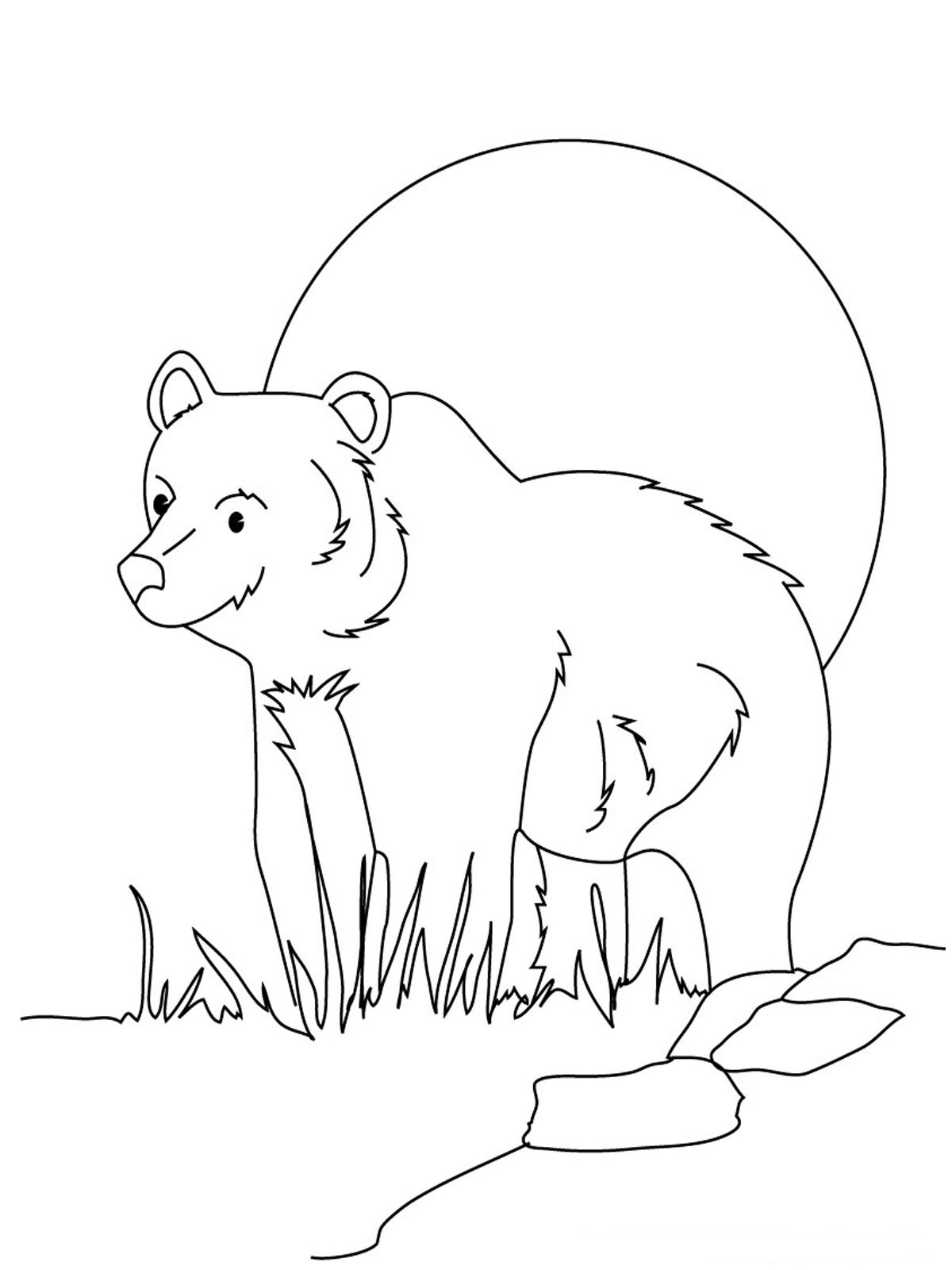 101 Free Printable Bear Coloring Pages for Kids 57