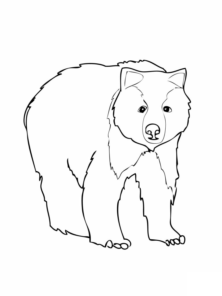 101 Free Printable Bear Coloring Pages for Kids 6