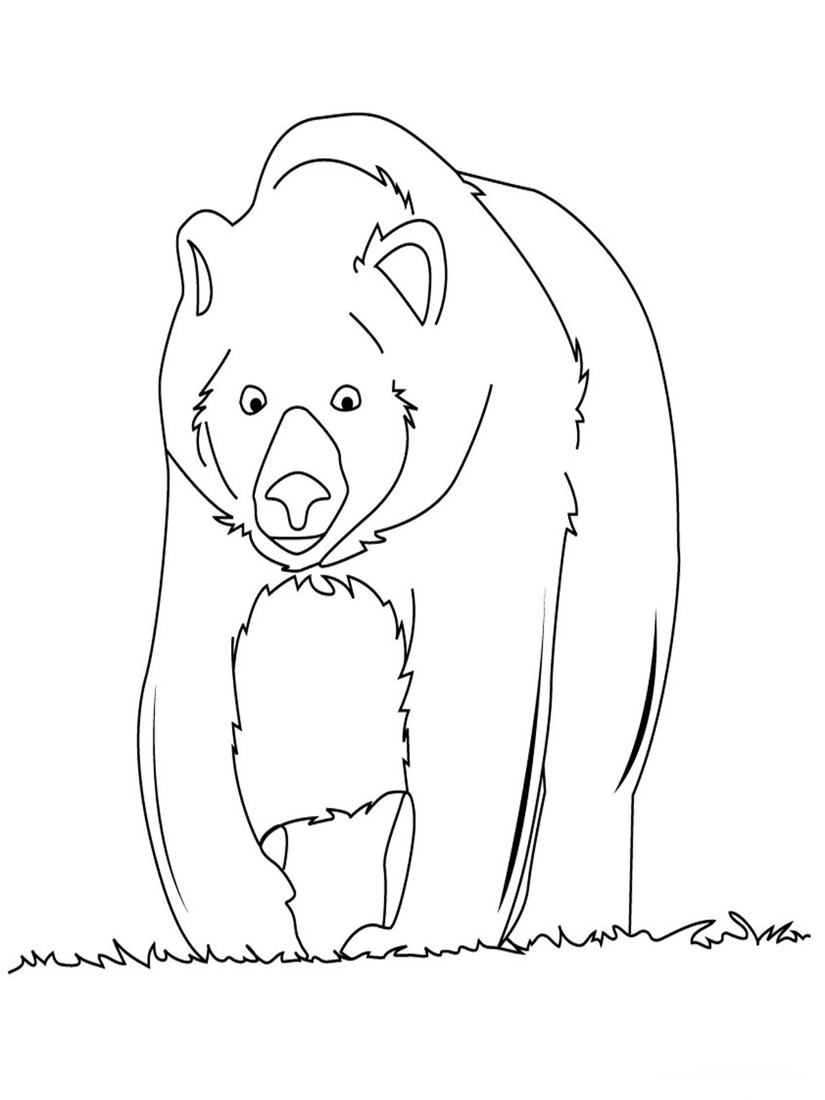 101 Free Printable Bear Coloring Pages for Kids 60