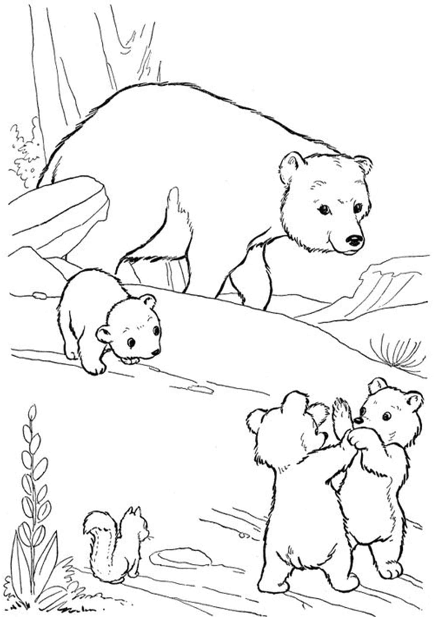 101 Free Printable Bear Coloring Pages for Kids 91