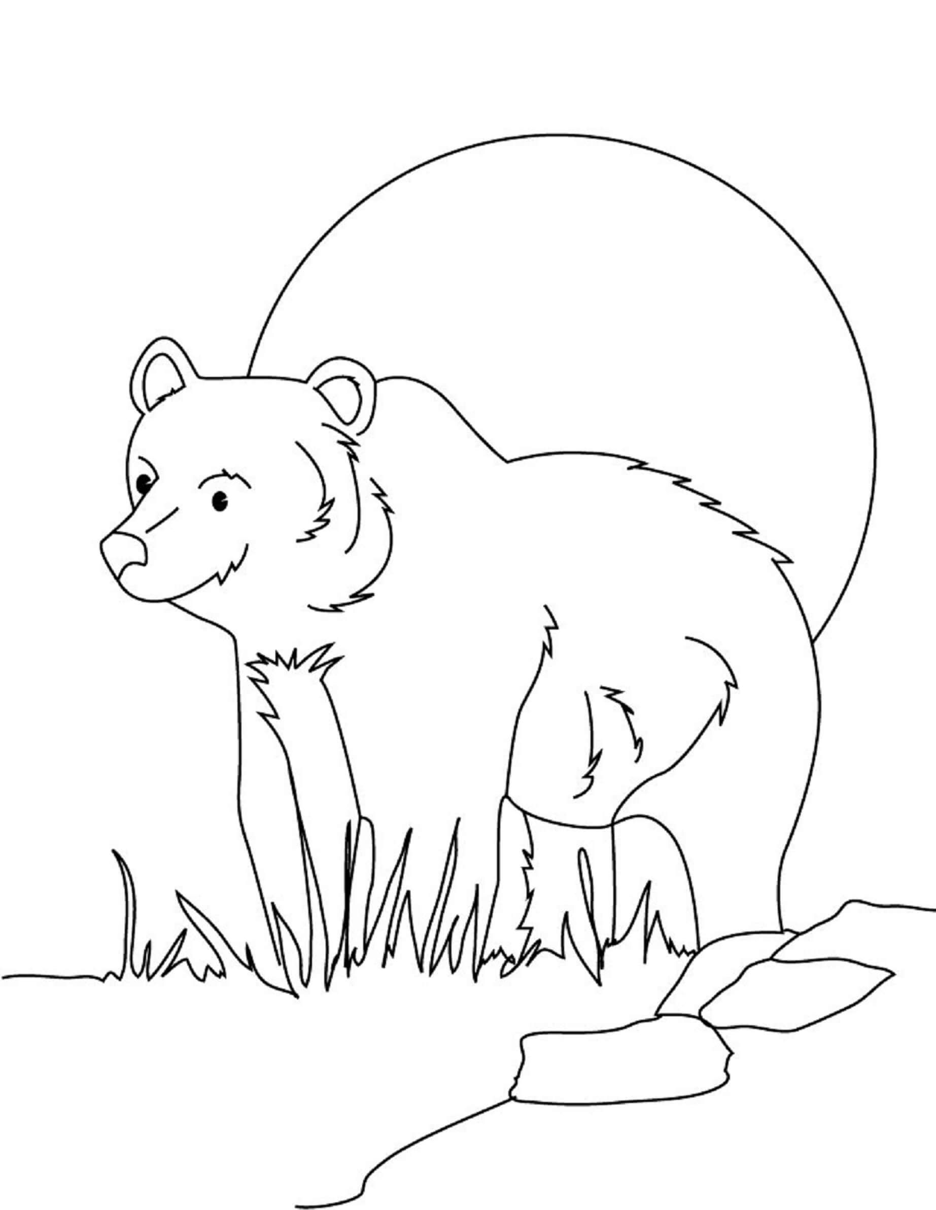 101 Free Printable Bear Coloring Pages for Kids 92