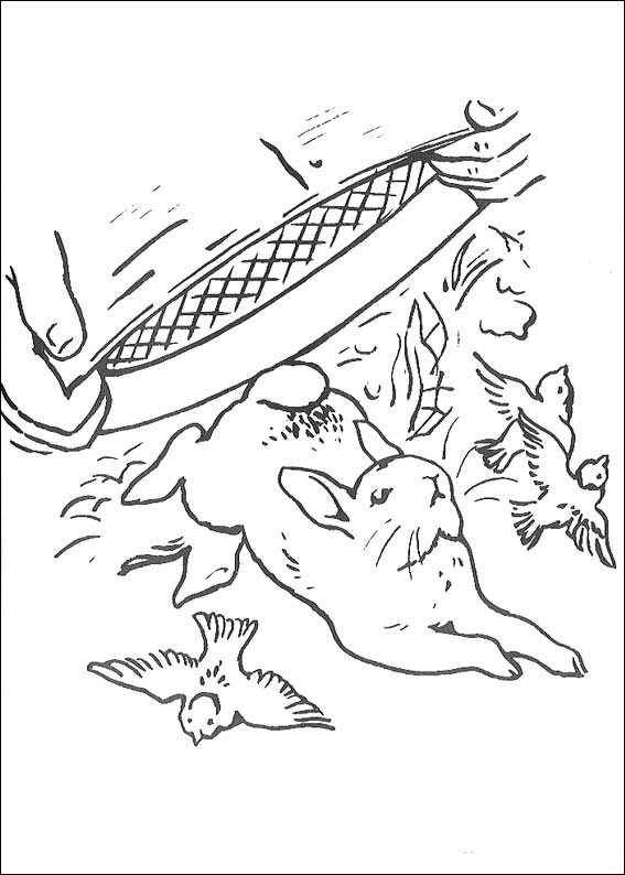 105 Adorable Peter Rabbit Coloring Pages Printable 10