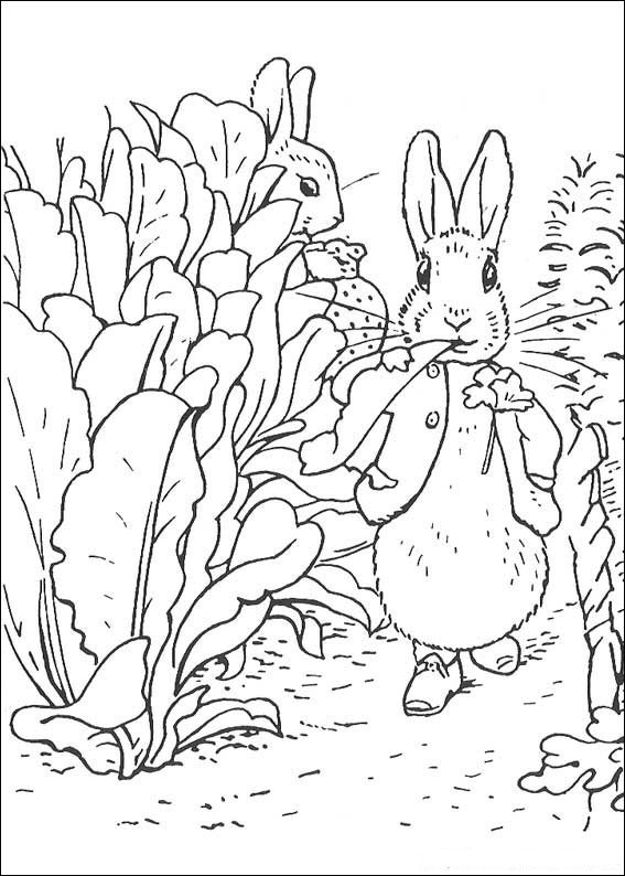 105 Adorable Peter Rabbit Coloring Pages Printable 101