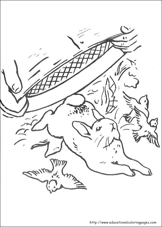 105 Adorable Peter Rabbit Coloring Pages Printable 68