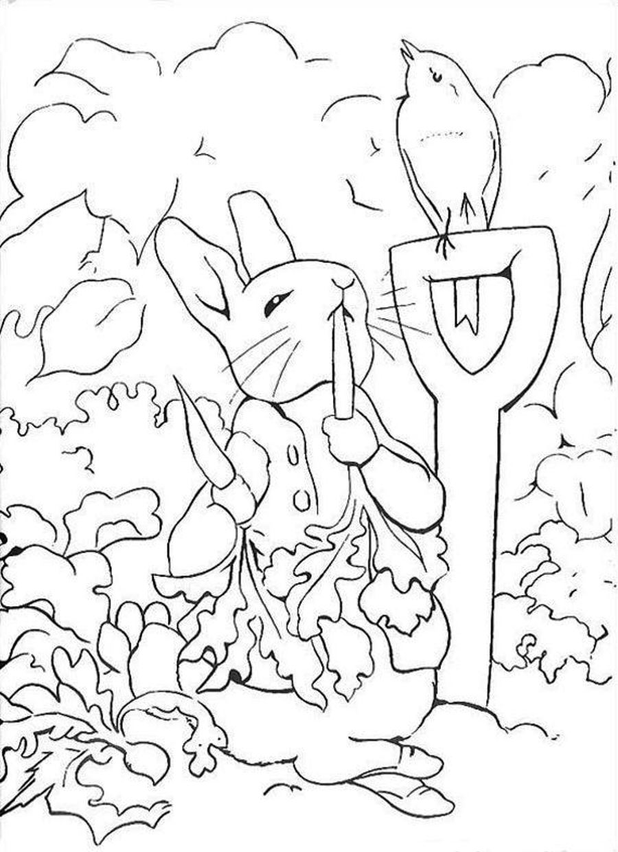 105 Adorable Peter Rabbit Coloring Pages Printable 83