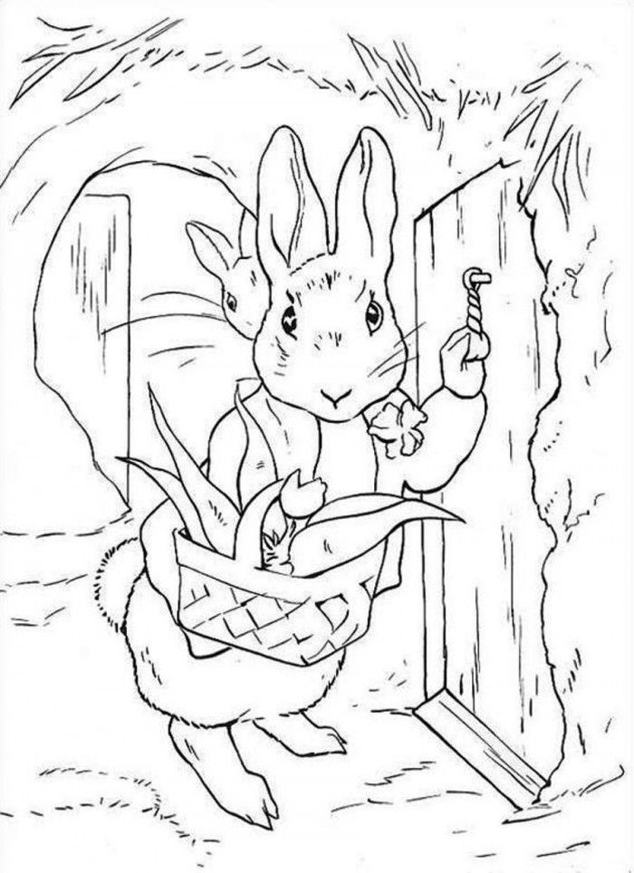 105 Adorable Peter Rabbit Coloring Pages Printable 84