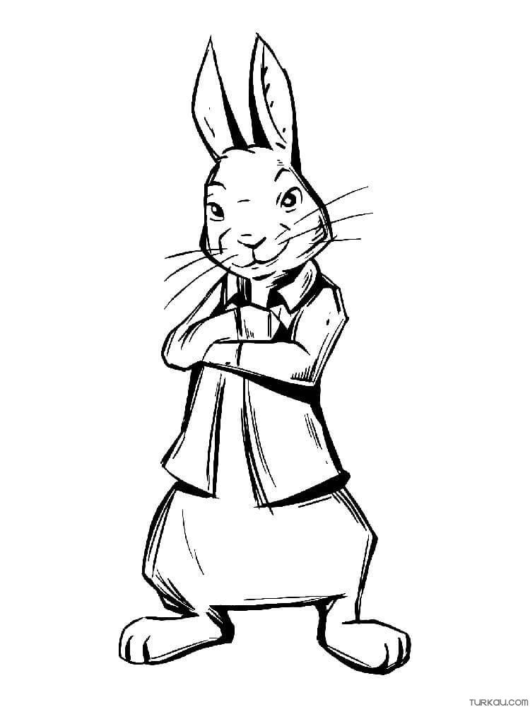 105 Adorable Peter Rabbit Coloring Pages Printable 86