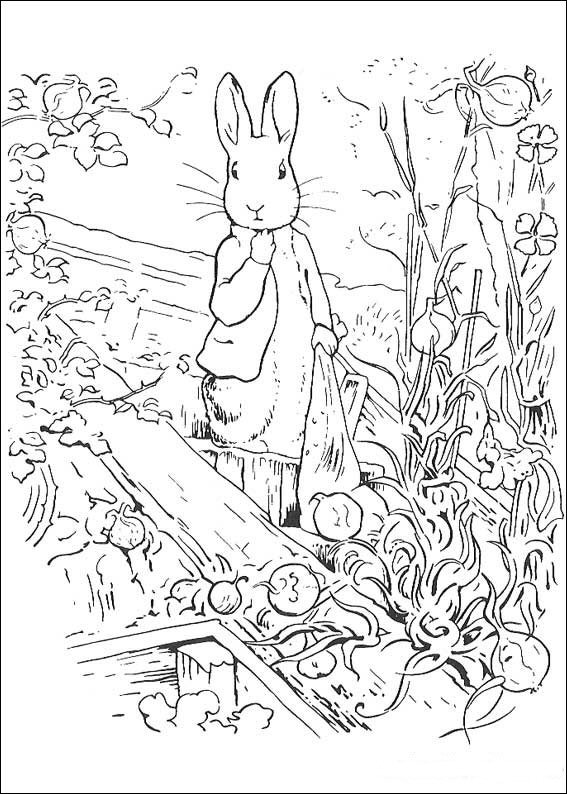 105 Adorable Peter Rabbit Coloring Pages Printable 87