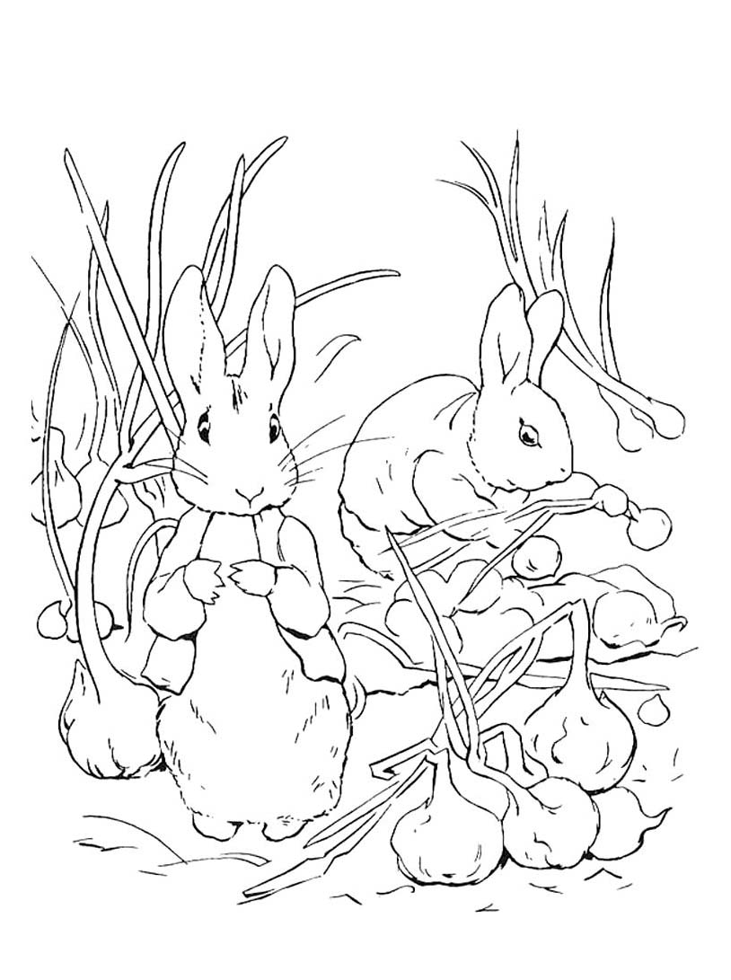 105 Adorable Peter Rabbit Coloring Pages Printable 99