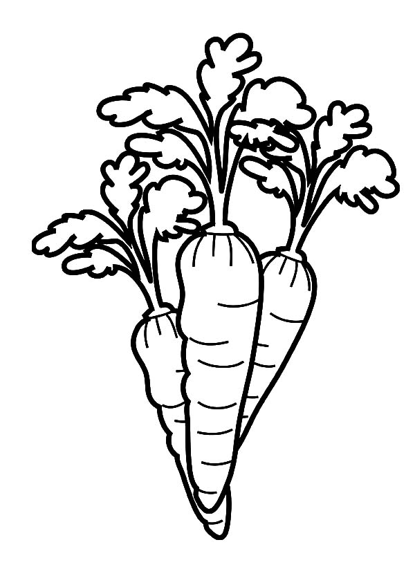 108 Carrot Coloring Pages Printable 1