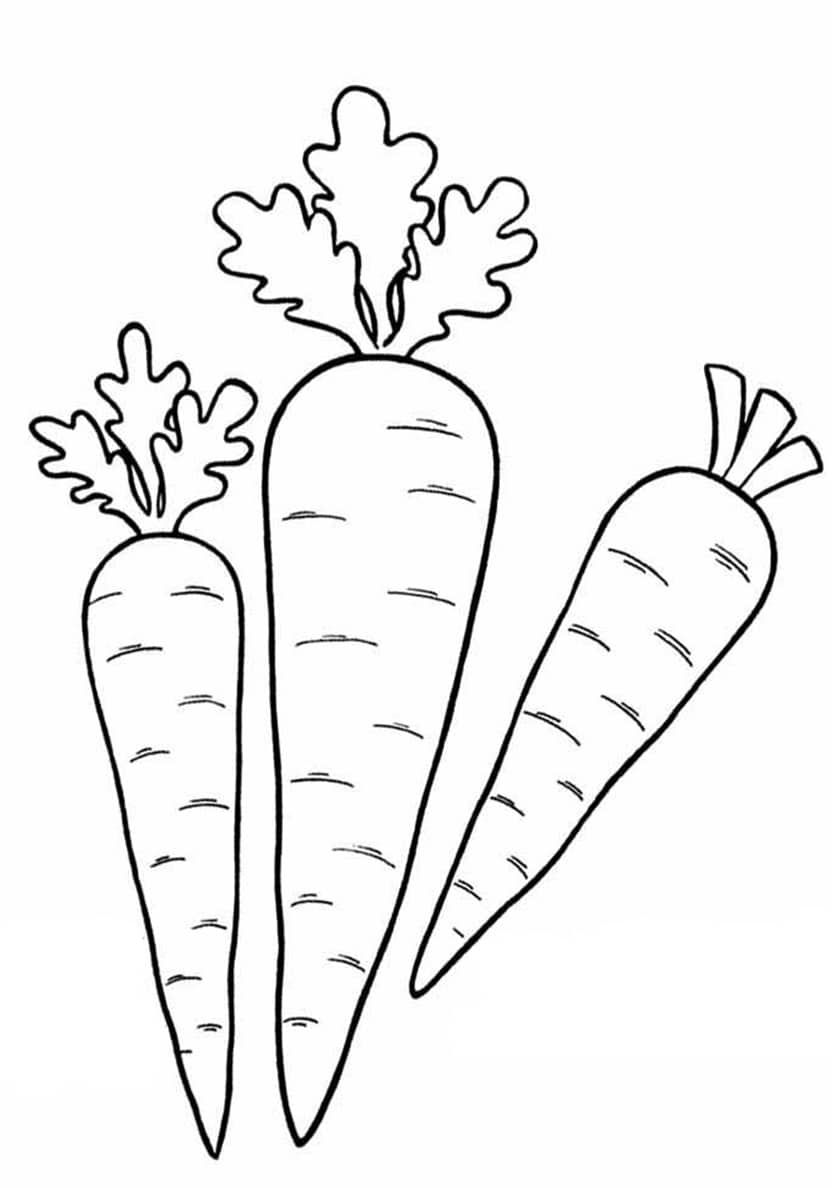 108 Carrot Coloring Pages Printable 101