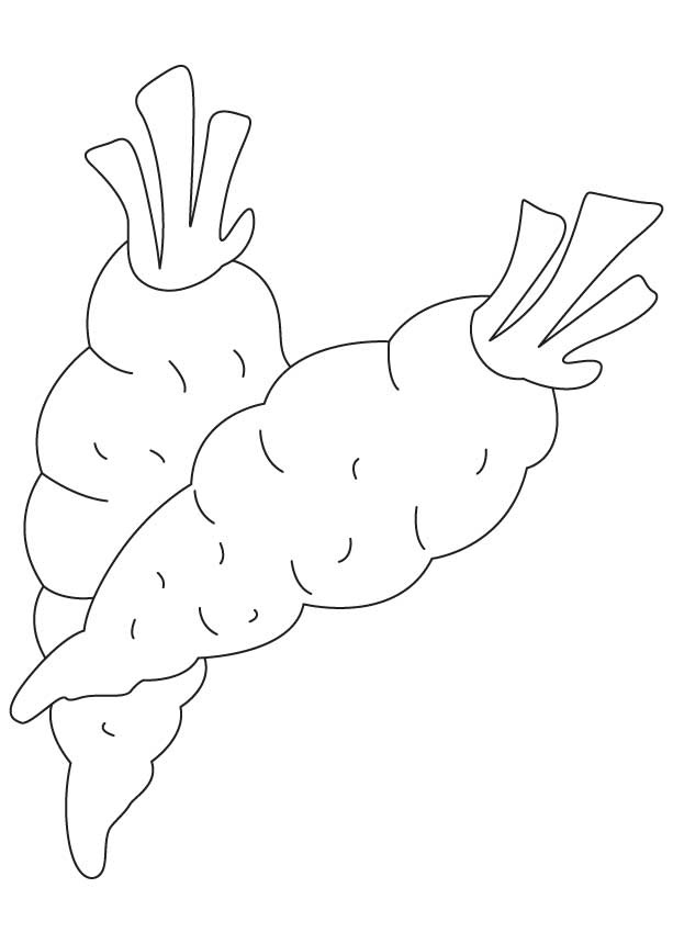 108 Carrot Coloring Pages Printable 12