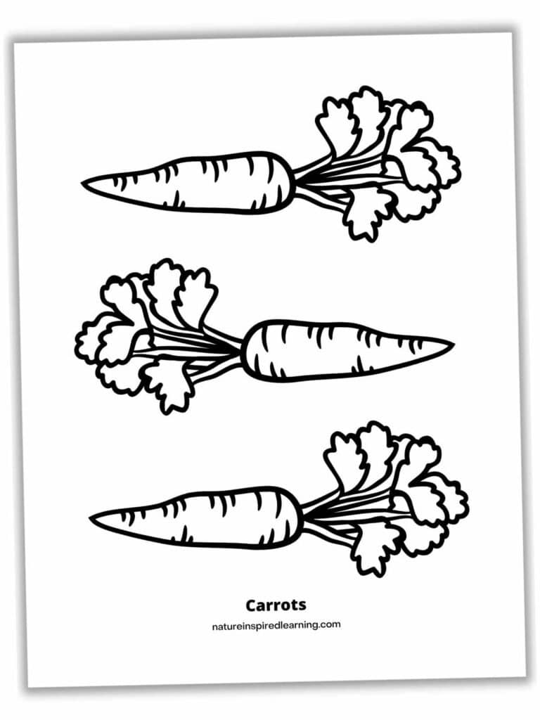 108 Carrot Coloring Pages Printable 18