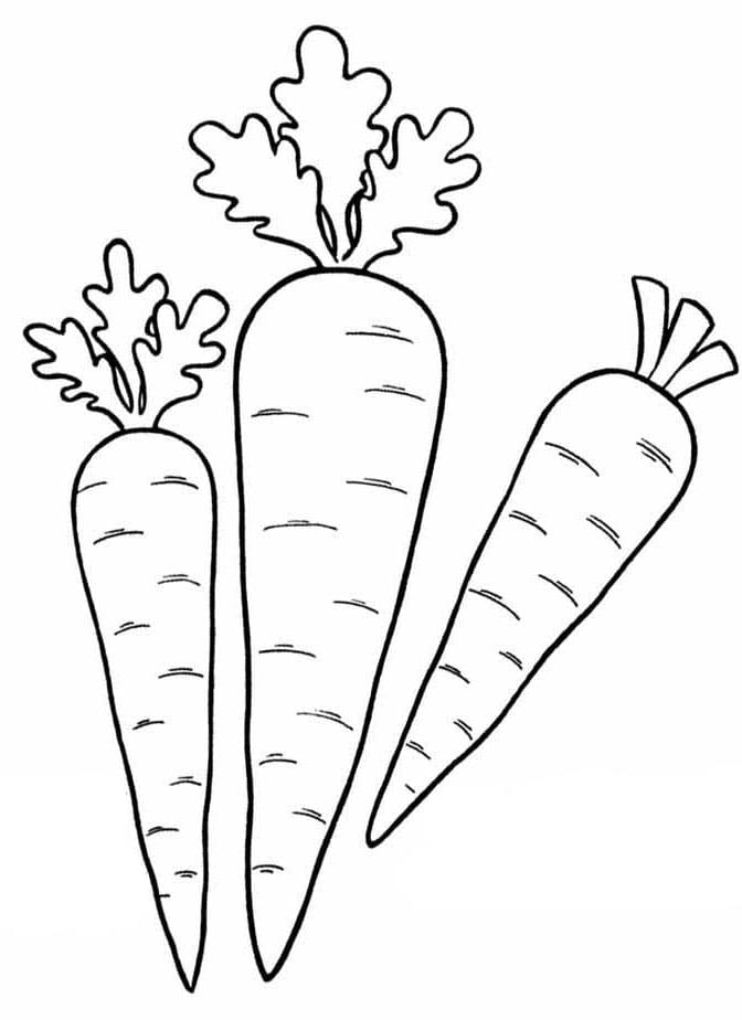 108 Carrot Coloring Pages Printable 30