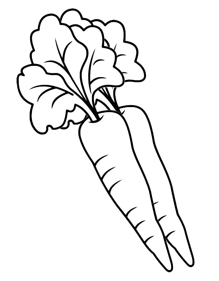 108 Carrot Coloring Pages Printable 34