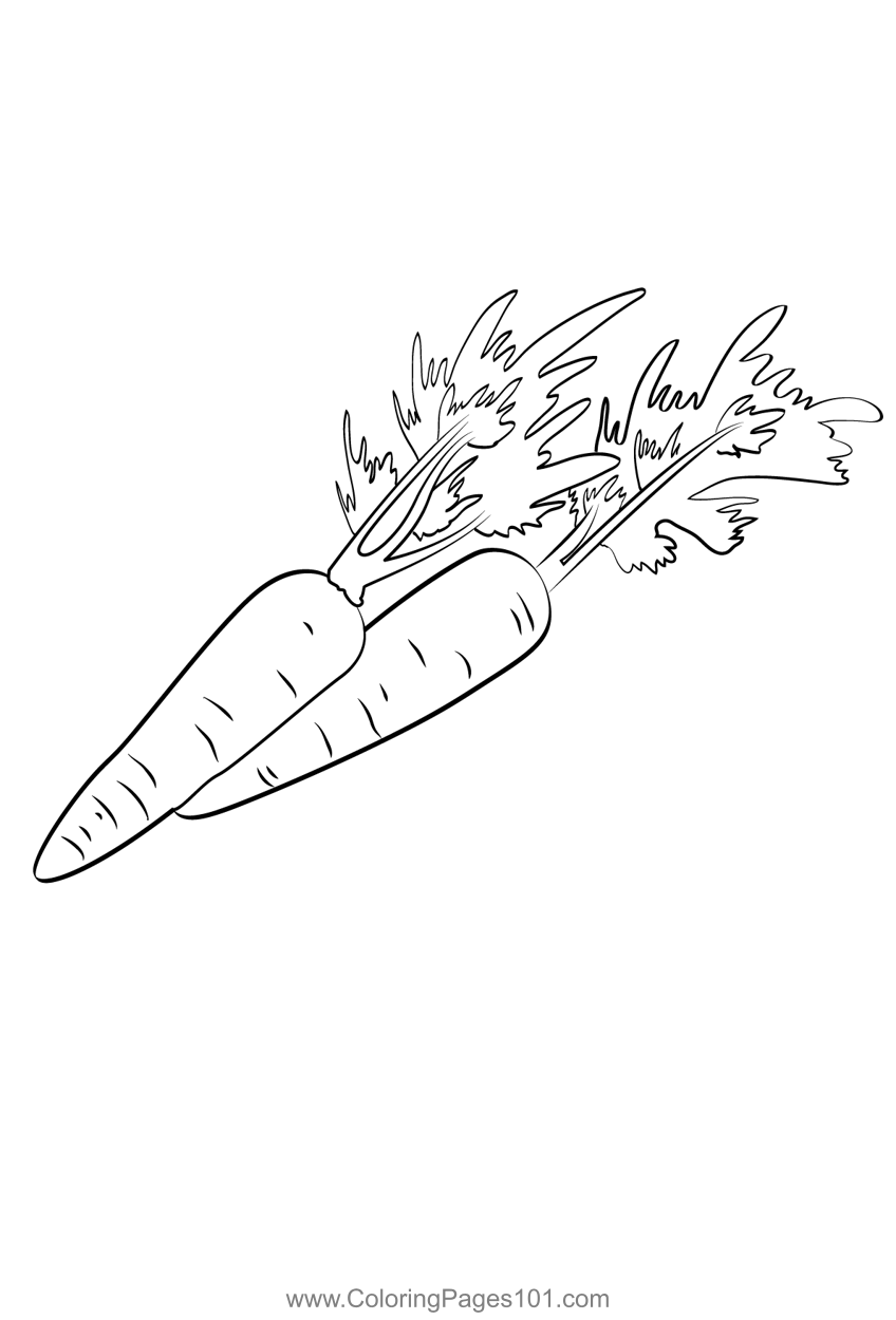 108 Carrot Coloring Pages Printable 4