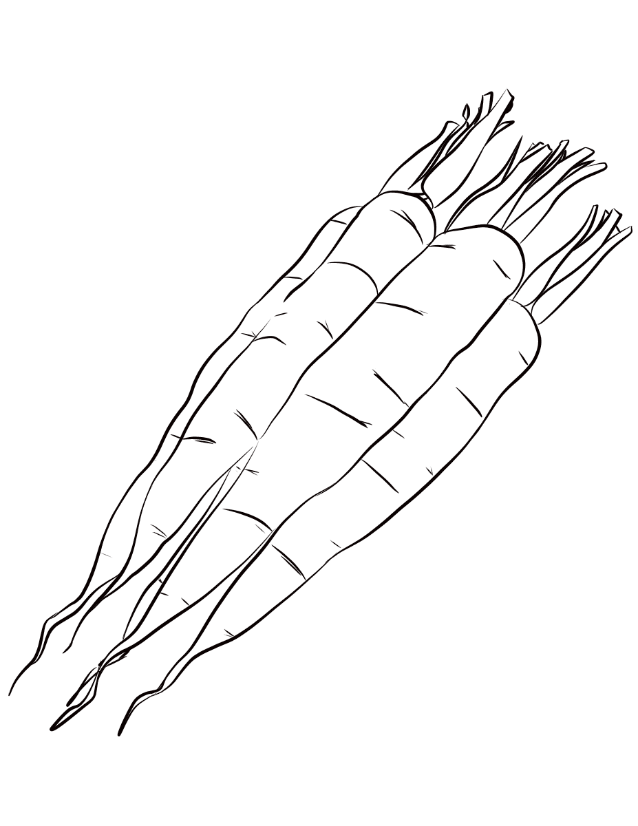 108 Carrot Coloring Pages Printable 44