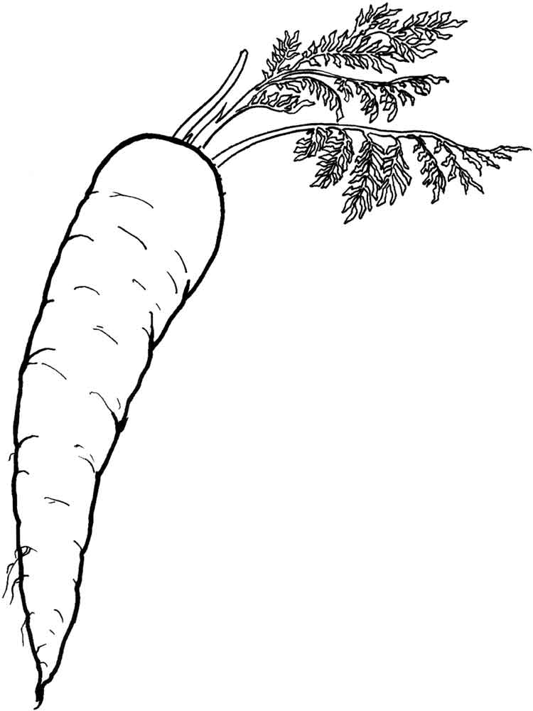 108 Carrot Coloring Pages Printable 59